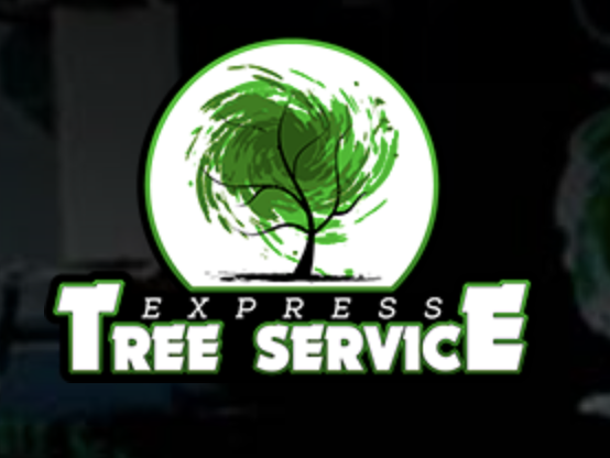 Express Tree Service